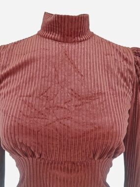 Forever 21 Ribbed Velvet Mock Neck Top in Rose